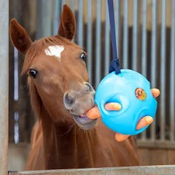 Shires Carrot Ball