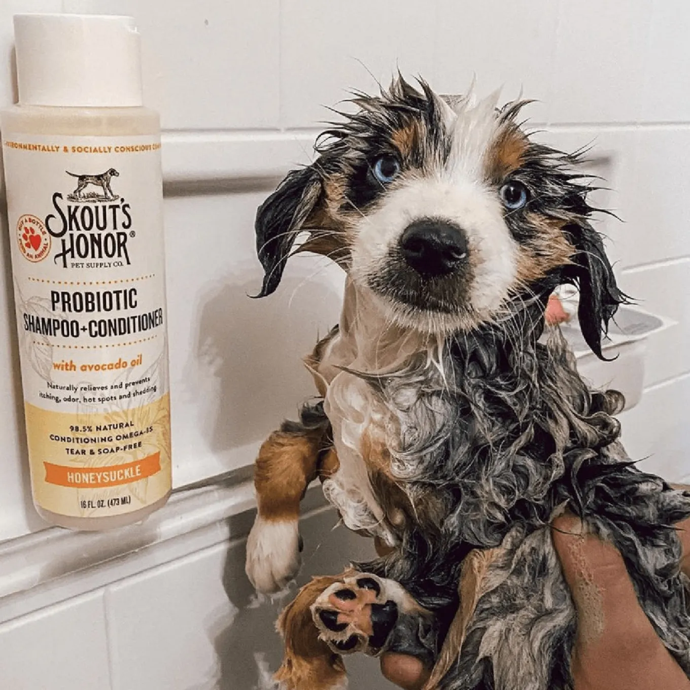 Skout's Honor Honeysuckle Probiotic Shampoo Plus Conditioner 473 mL