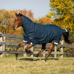 Summit Nova Turnout Blanket 100 g W/ Hood