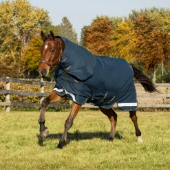 Summit Nova Turnout Blanket 100 g W/ Hood