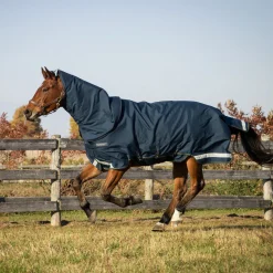 Summit Nova Turnout Blanket 100 g W/ Hood