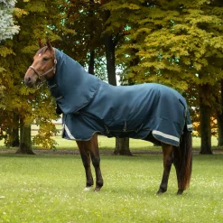 Summit Nova Turnout Blanket 100 g W/ Hood