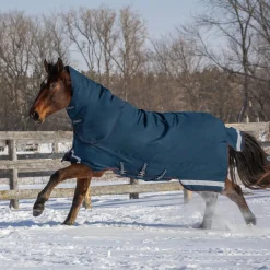 Summit Nova Turnout Blanket 400 g W/ 150 g Hood