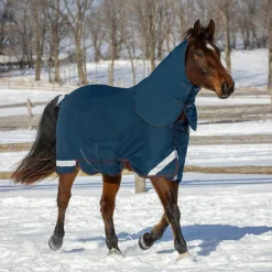 Summit Nova Turnout Blanket 400 g W/ 150 g Hood