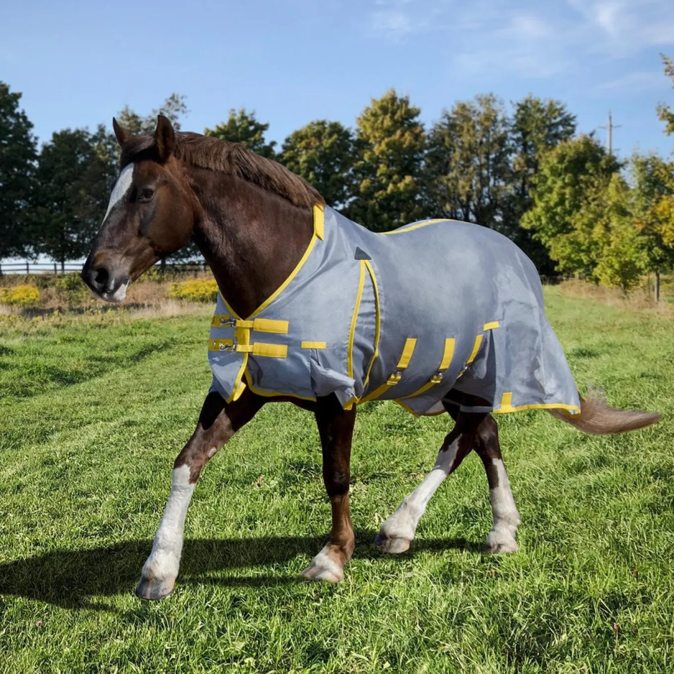 Summit Sirocco Fly Sheet W/ Detachable Hood