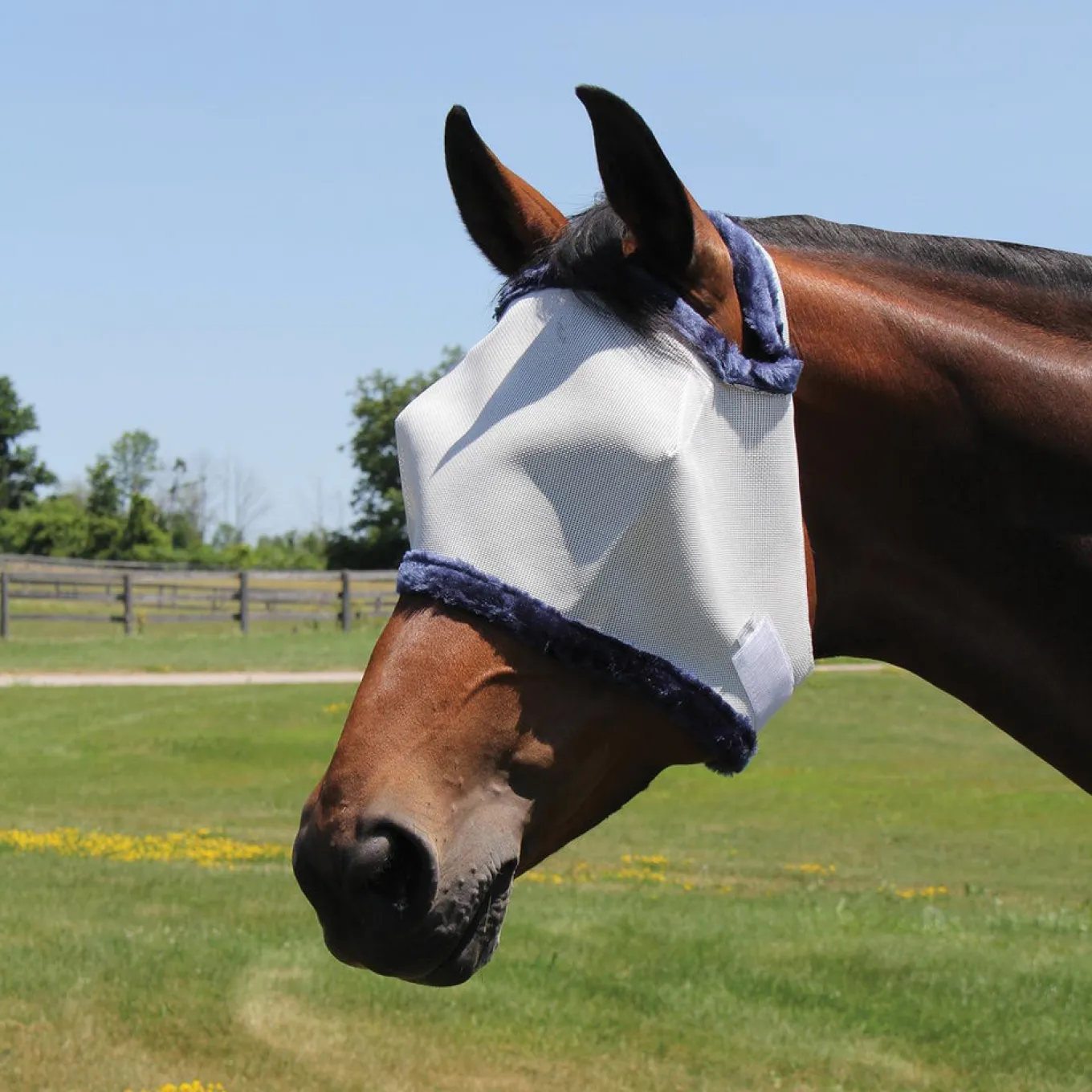 Supra Fly Mask