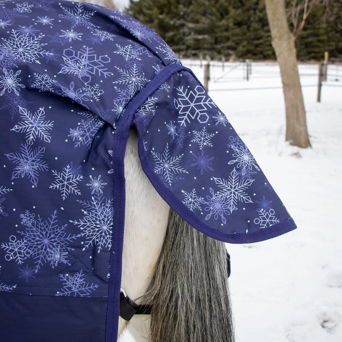 Supra Full Neck Turnout Blanket 300 g