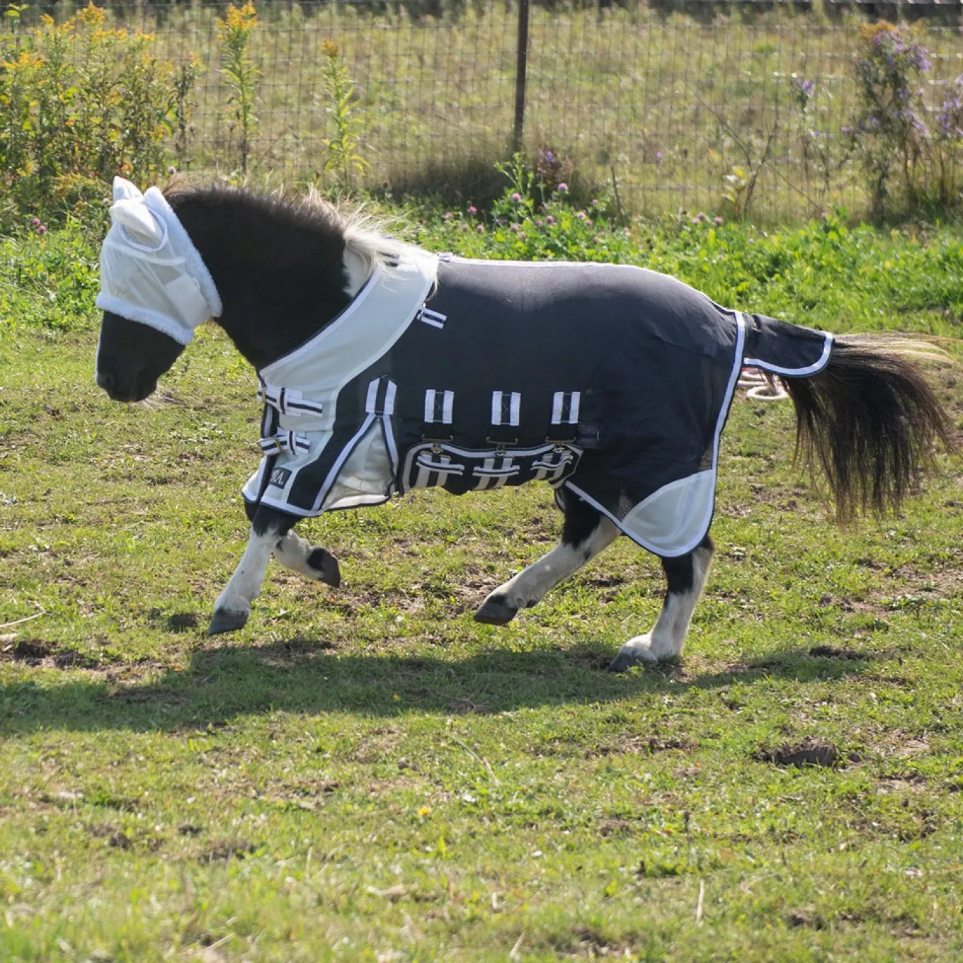 Supra Miniature Fly Sheet W/ Belly Band & Fly Mask