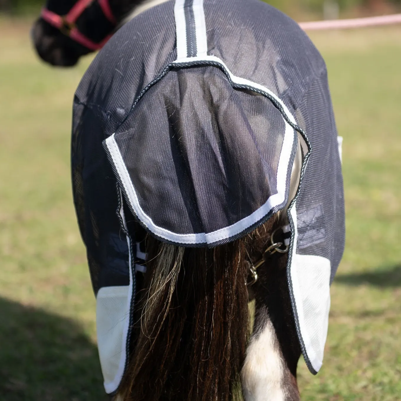 Supra Miniature Fly Sheet W/ Belly Band & Fly Mask