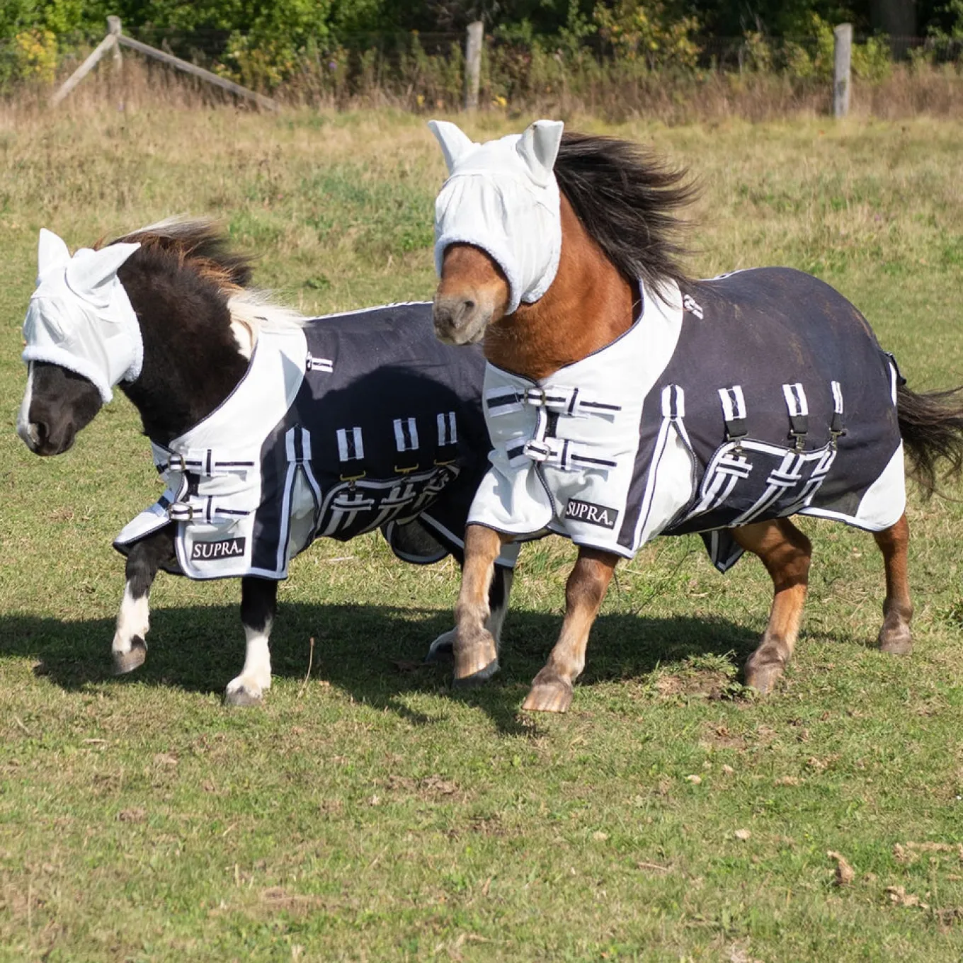 Supra Miniature Fly Sheet W/ Belly Band & Fly Mask