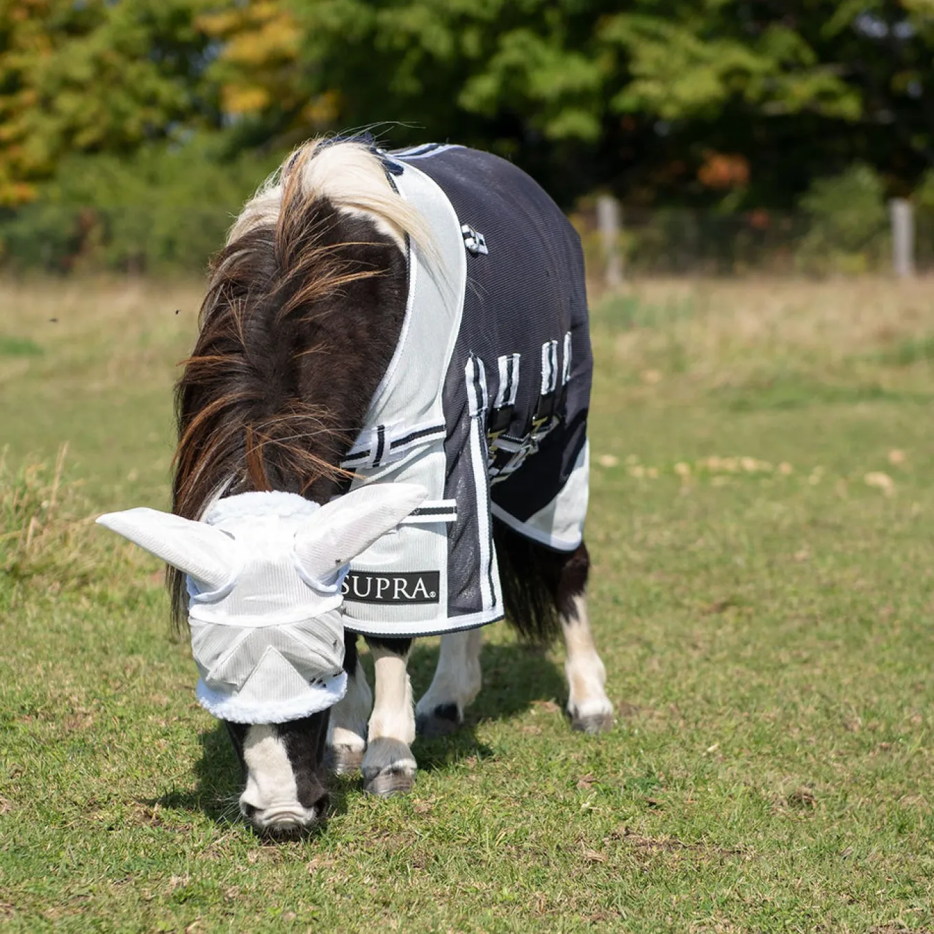 Supra Miniature Fly Sheet W/ Belly Band & Fly Mask