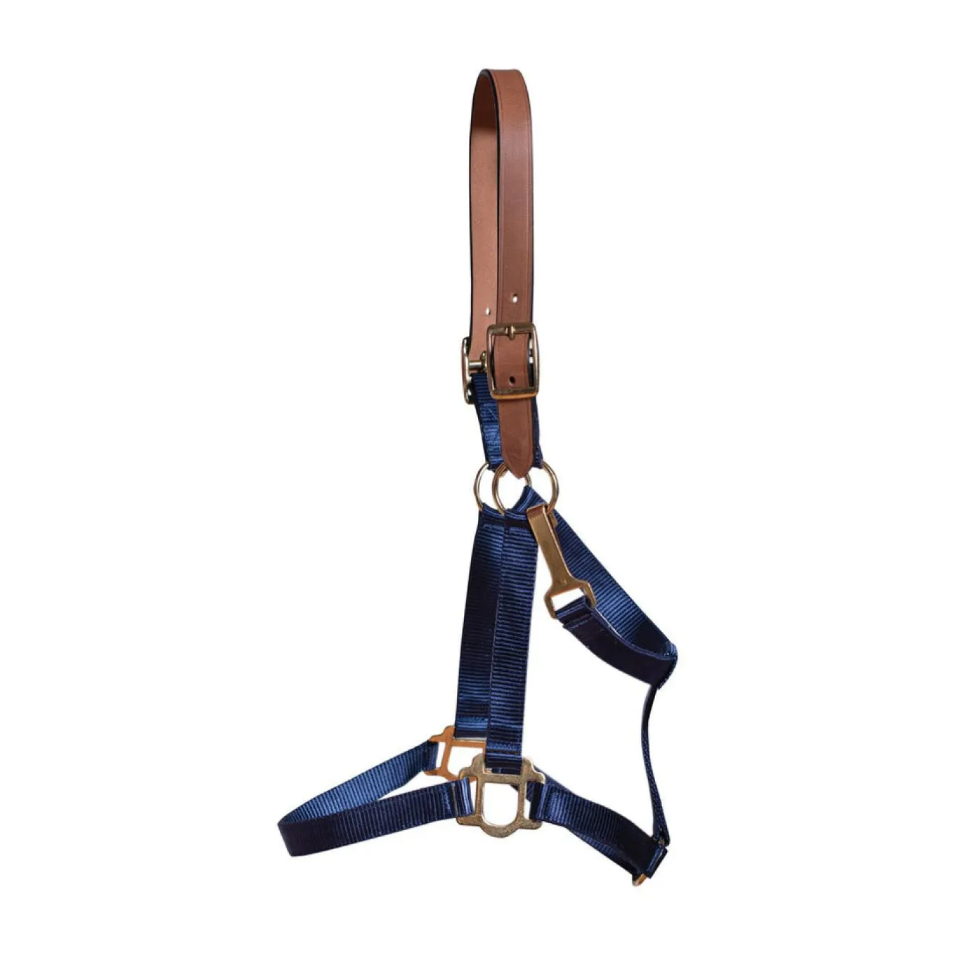 Supra Nylon Halter W/ Leather Crown