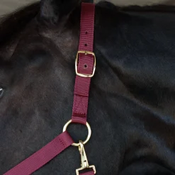 Supra Stable Halter