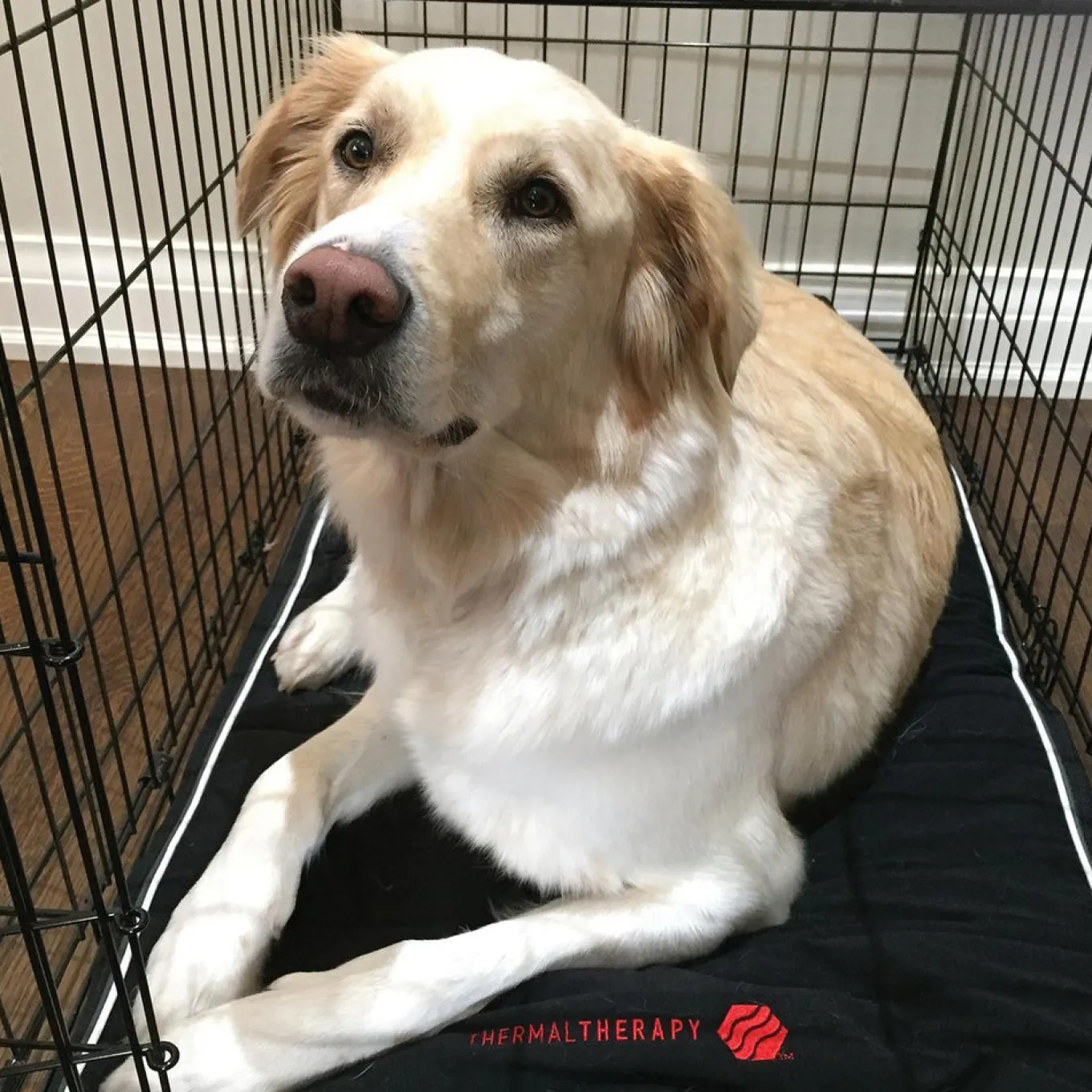 Thermal Therapy Extra Large Crate Mat
