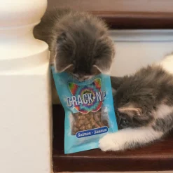 This & That Crack Nip Salmon Cat Treats 43 g