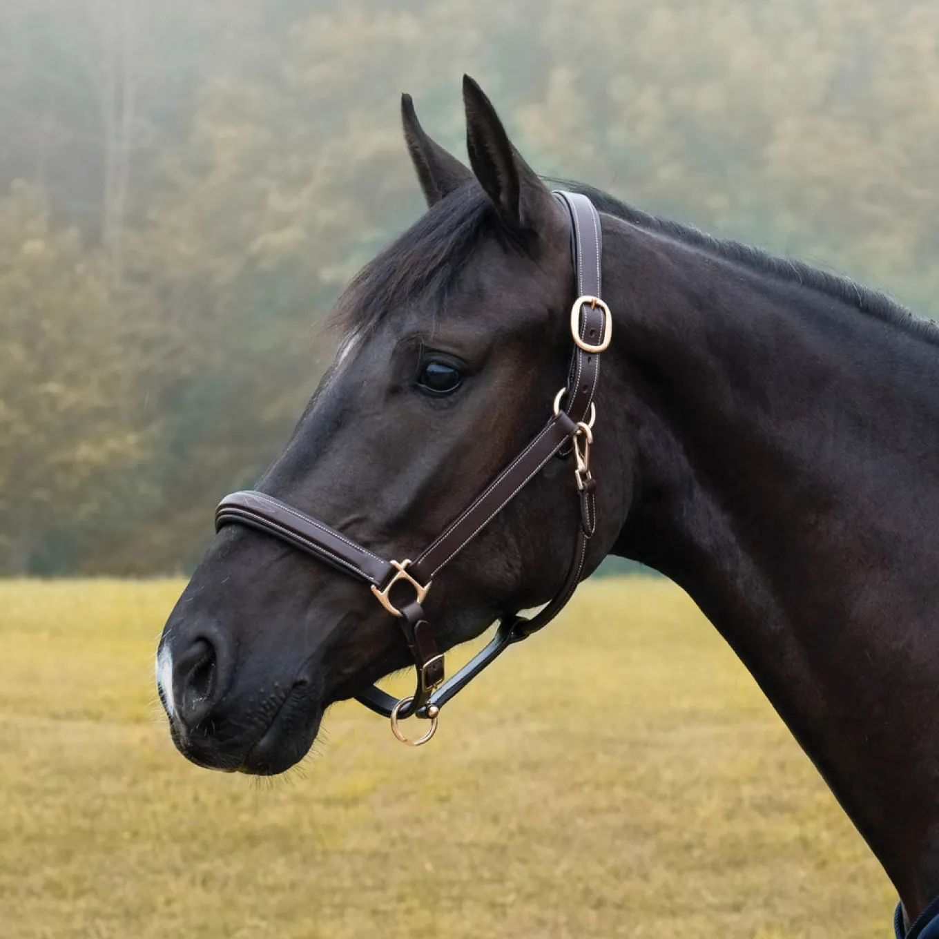 Val du Bois Padded Fancy Stitched Halter