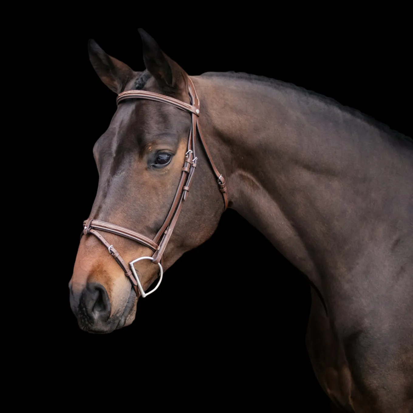 Val du Bois Padded Fancy Stitched Bridle W/ Removable Flash