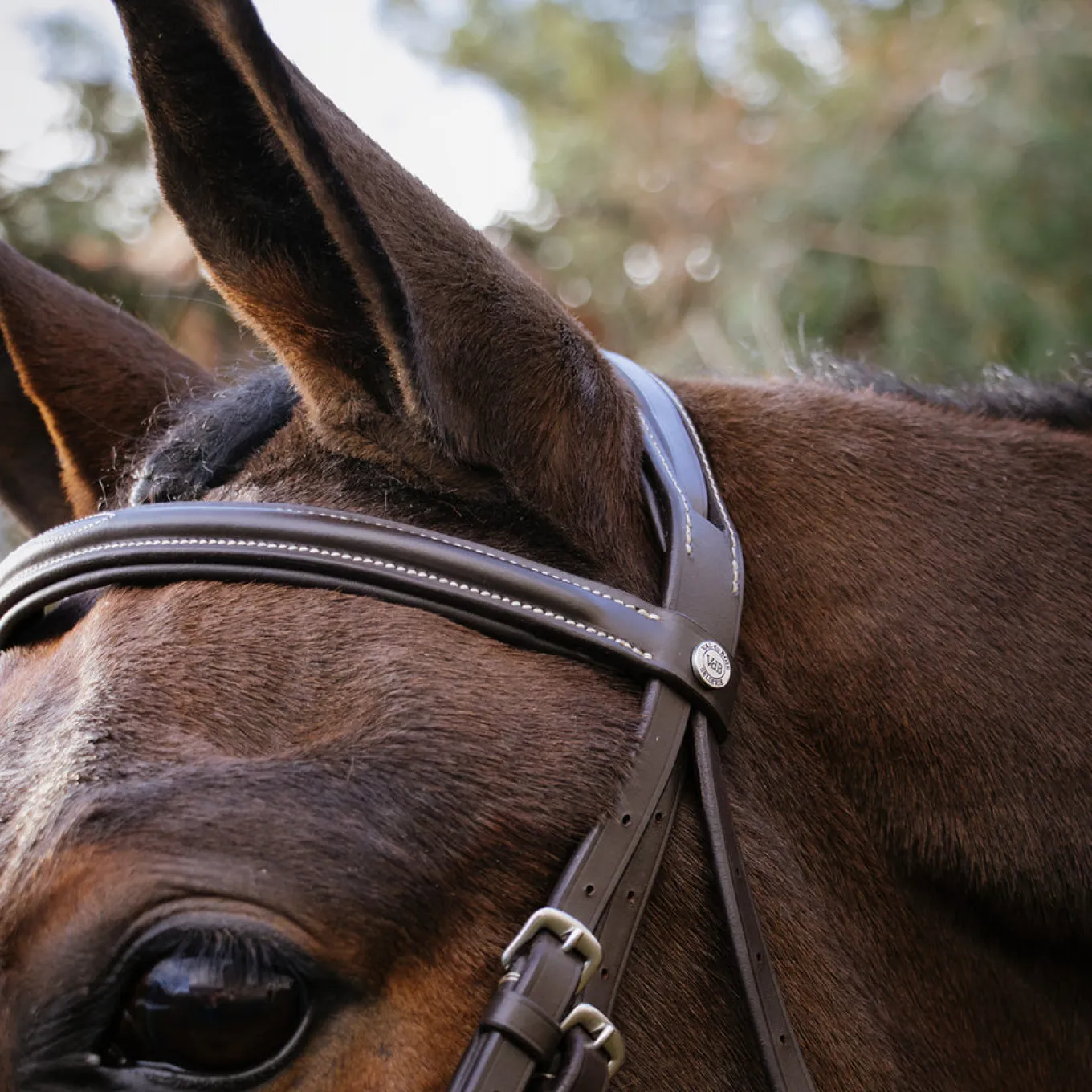 Val du Bois Padded Fancy Stitched Bridle W/ Removable Flash