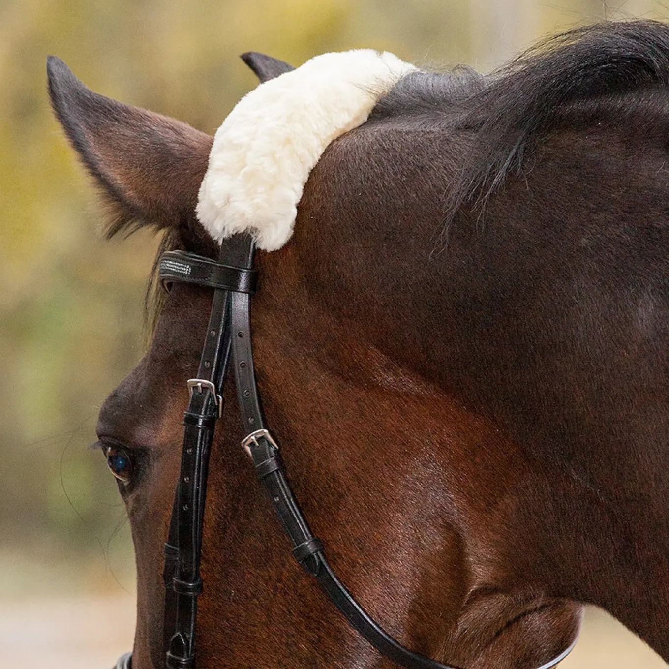 Waldhausen Lambskin Noseband & Headpiece Cushioning